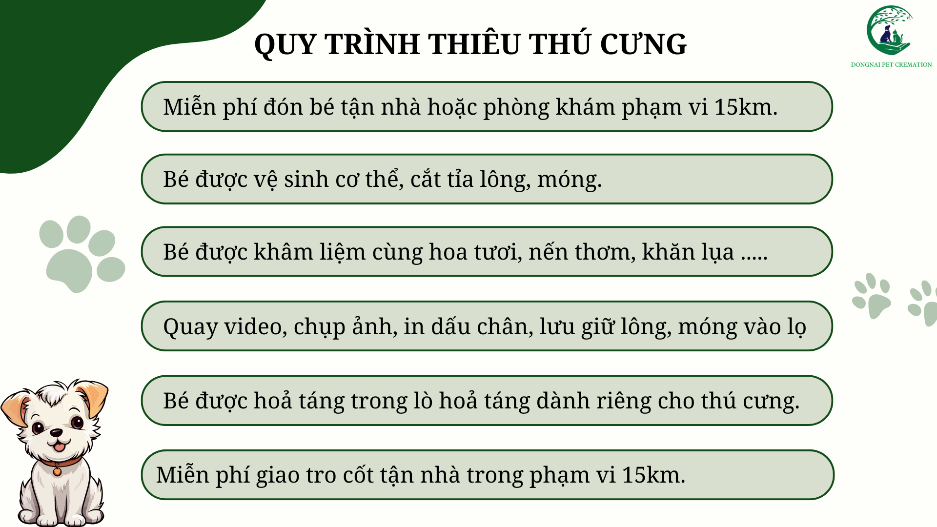 Quy trình thiêu thú cưng tại Dong Nai Pet Cremation