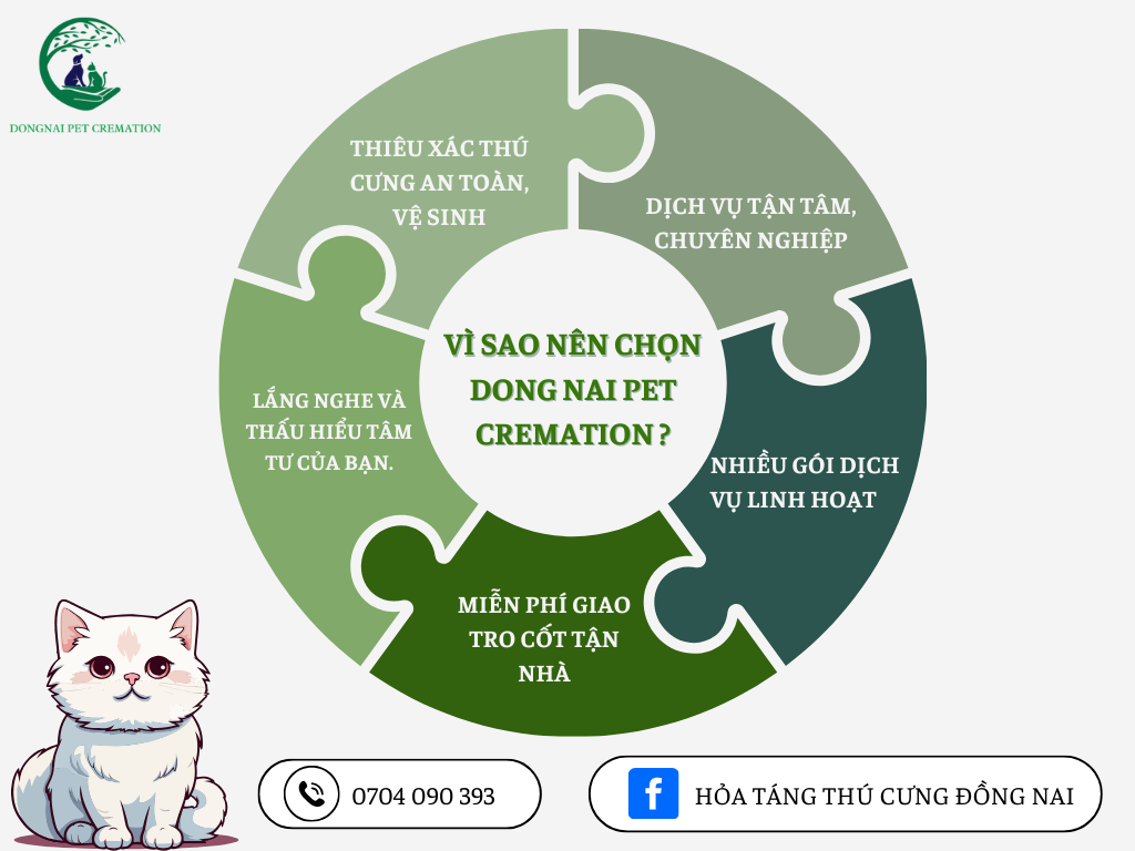 Dịch vụ thiêu thú cưng uy tín, tận tâm