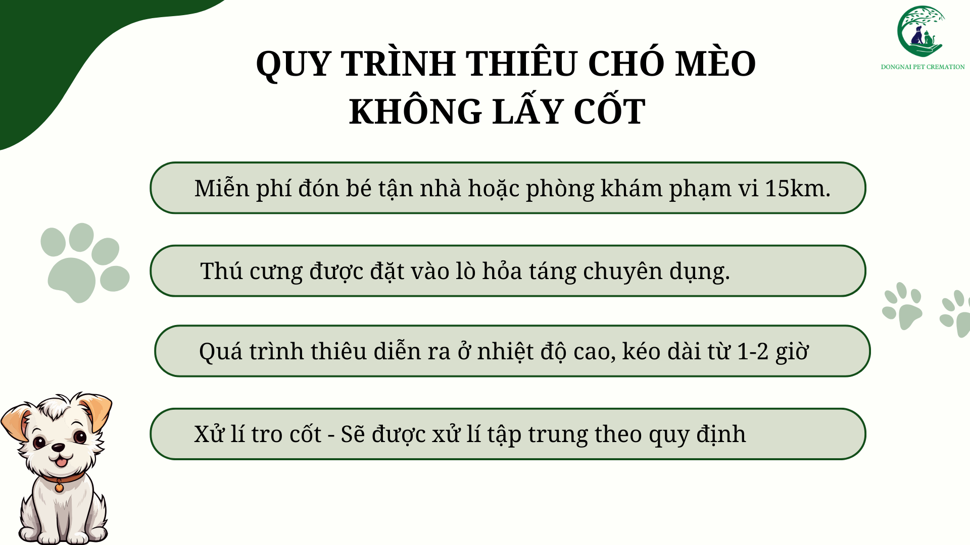 Quy trình thiêu chó mèo không lấy cốt