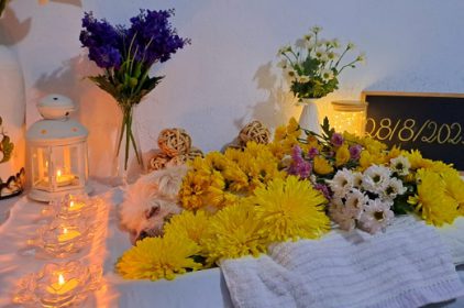 Dịch Vụ Hỏa Táng Thú Cưng, Chó Mèo